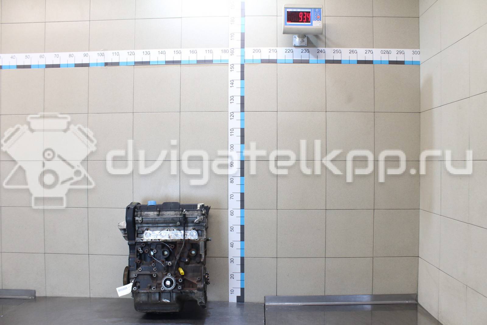 Фото Контрактный (б/у) двигатель NFU (TU5JP4) для Citroen / Peugeot 109-122 л.с 16V 1.6 л бензин {forloop.counter}}
