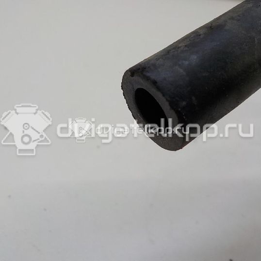 Фото Шланг топливный для двигателя CFNA для Volkswagen / Vw (Svw) 105 л.с 16V 1.6 л бензин 036133514E