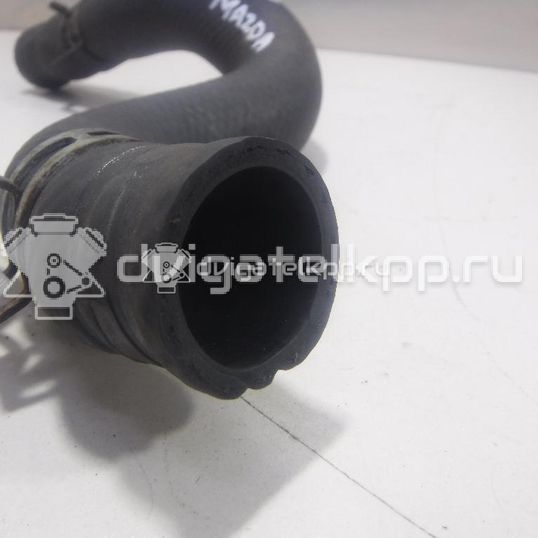 Фото Патрубок радиатора  ZL0115186A для Mazda 323