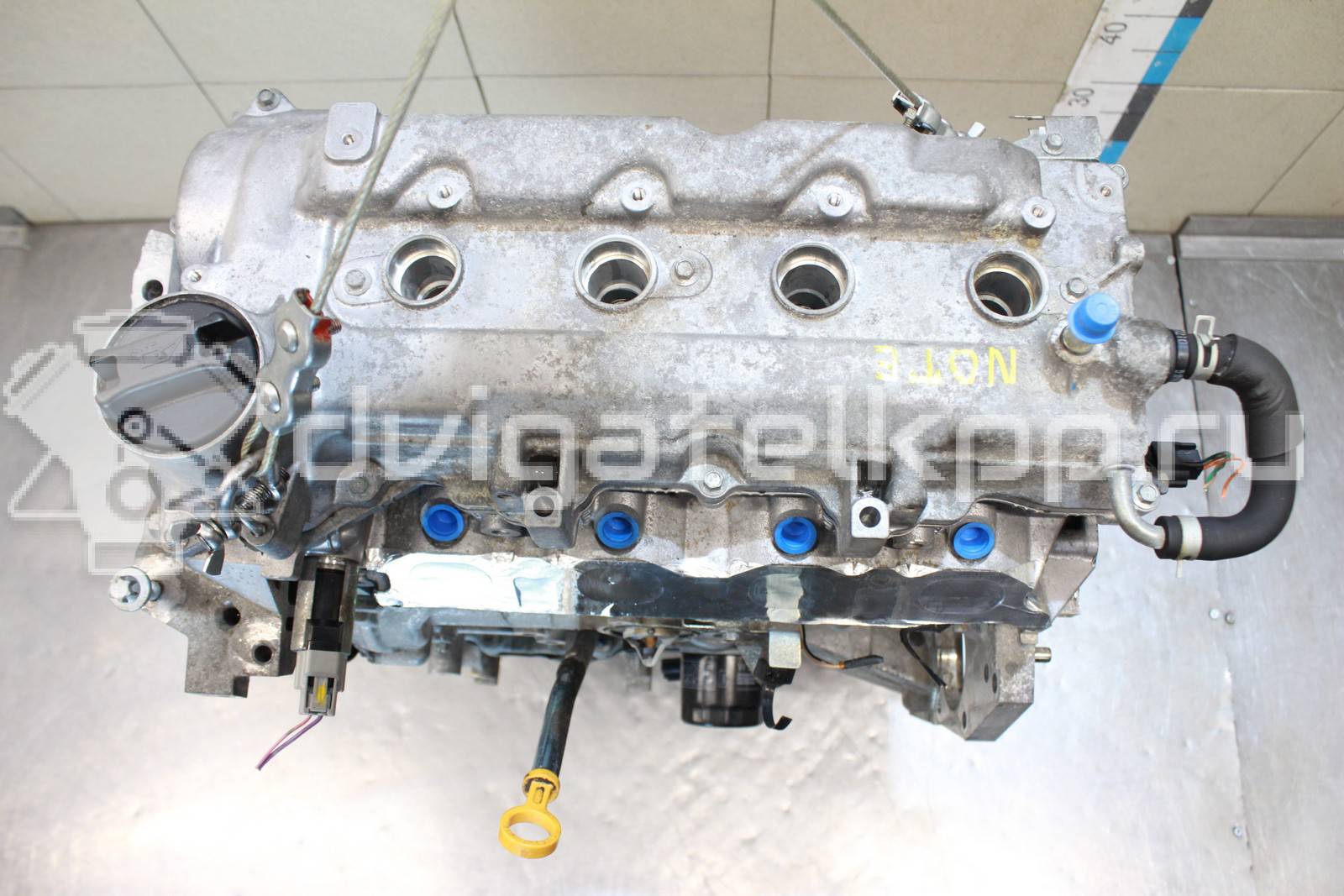 Фото Контрактный (б/у) двигатель HR16DE для Dongfeng (Dfac) / Nissan (Zhengzhou) / Samsung / Mazda / Nissan / Mitsubishi / Nissan (Dongfeng) 113-124 л.с 16V 1.6 л бензин 10102BC23F {forloop.counter}}