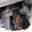 Фото Контрактная (б/у) АКПП для Hyundai / Kia 121-124 л.с 16V 1.6 л G4FG бензин 4500026014 {forloop.counter}}