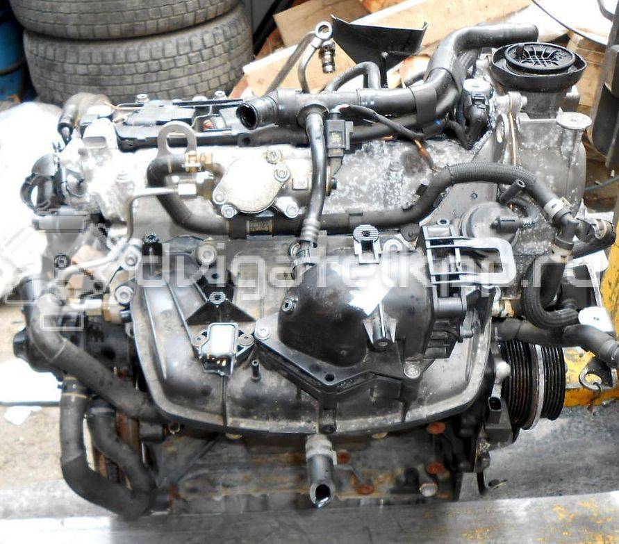 Фото Контрактный (б/у) двигатель BLG для Volkswagen Jetta / Golf 170 л.с 16V 1.4 л бензин 03C103011AP {forloop.counter}}