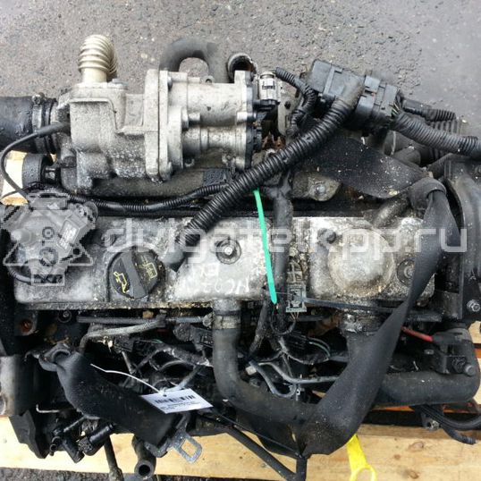 Фото Контрактный (б/у) двигатель KKDA для Ford Focus / C-Max 115 л.с 8V 1.8 л Дизельное топливо