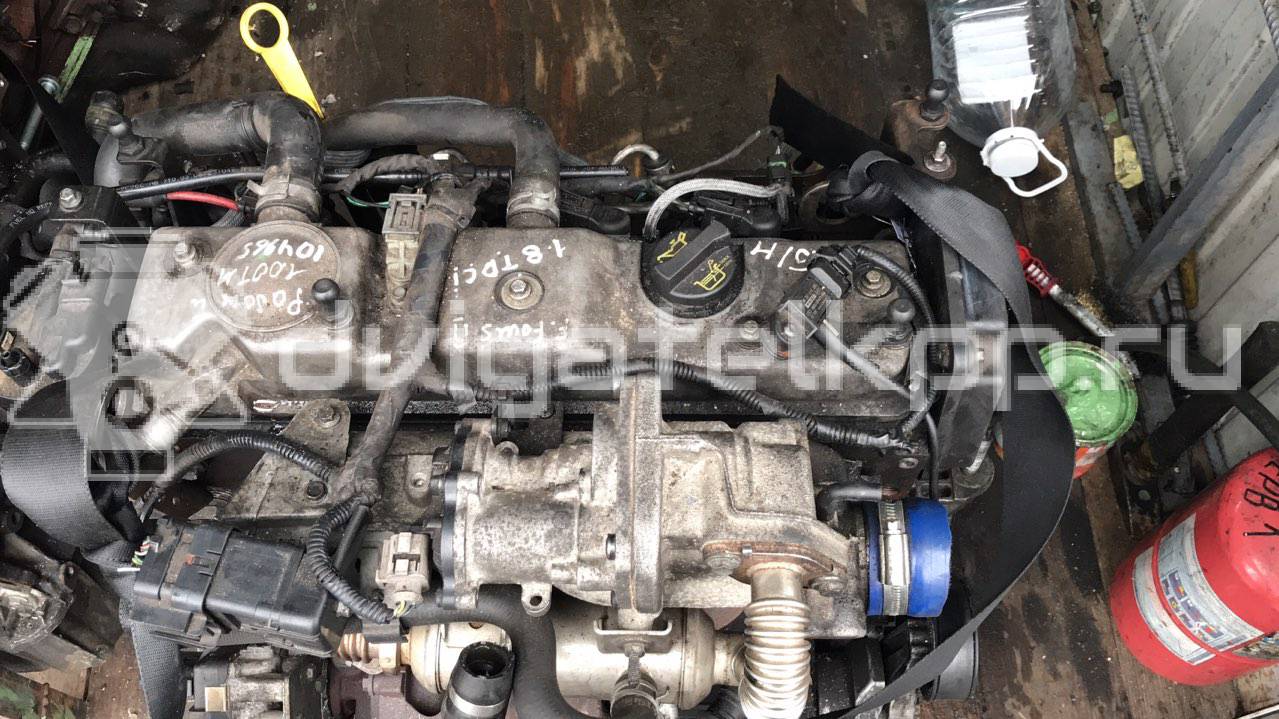 Фото Контрактный (б/у) двигатель KKDA для Ford Focus / C-Max 115 л.с 8V 1.8 л Дизельное топливо {forloop.counter}}