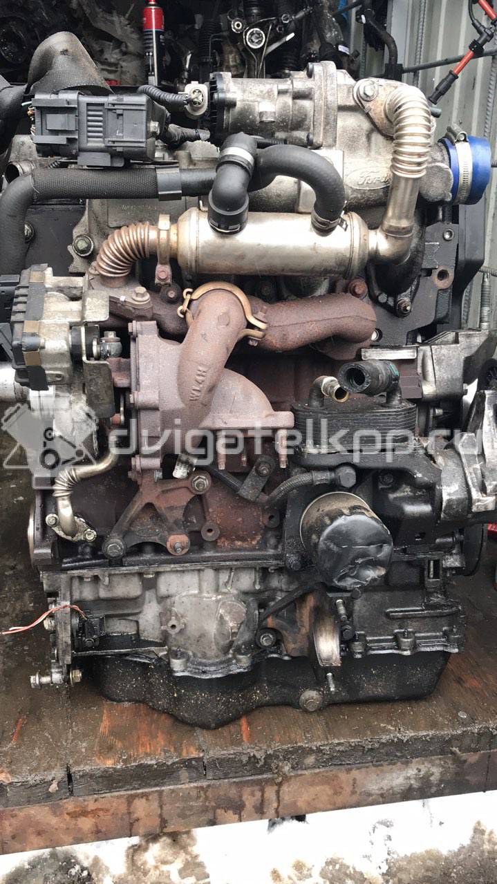 Фото Контрактный (б/у) двигатель KKDA для Ford Focus / C-Max 115 л.с 8V 1.8 л Дизельное топливо {forloop.counter}}