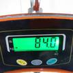 Фото Контрактная (б/у) АКПП для Volvo C30 / C70 / V50 Mw / S40 230 л.с 20V 2.5 л B 5254 T7 бензин 36000850 {forloop.counter}}