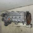 Фото Контрактный (б/у) двигатель BLF для Volkswagen Passat / Eos 1F7, 1F8 / Jetta / Golf 115 л.с 16V 1.6 л бензин 03C100035D {forloop.counter}}