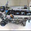 Фото Контрактный (б/у) двигатель BLF для Volkswagen Passat / Eos 1F7, 1F8 / Jetta / Golf 115 л.с 16V 1.6 л бензин 03C100033TX {forloop.counter}}