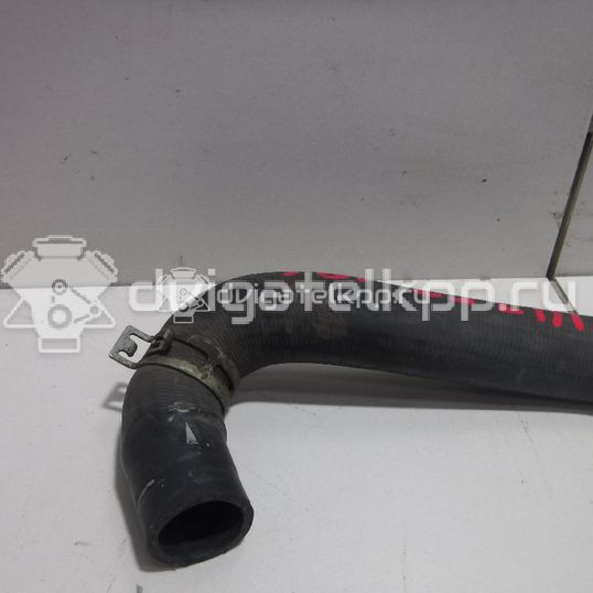 Фото Патрубок радиатора  21501AX800 для Nissan Note / Micra