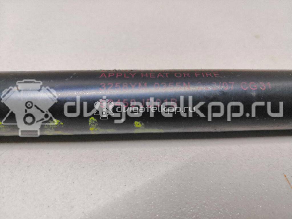 Фото Амортизатор двери багажника  90450JD01B для Nissan Qashqai {forloop.counter}}