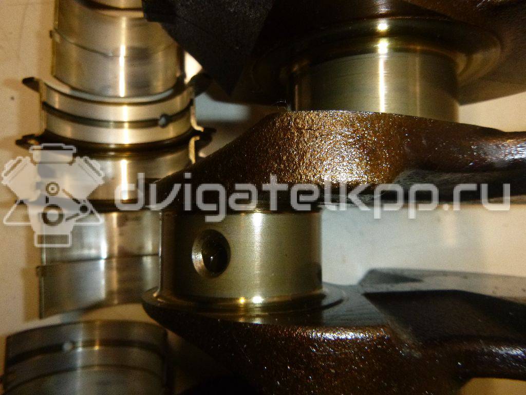 Фото Коленвал для двигателя G4EE для Kia (Dyk) / Kia 95-97 л.с 16V 1.4 л бензин 2311126400 {forloop.counter}}