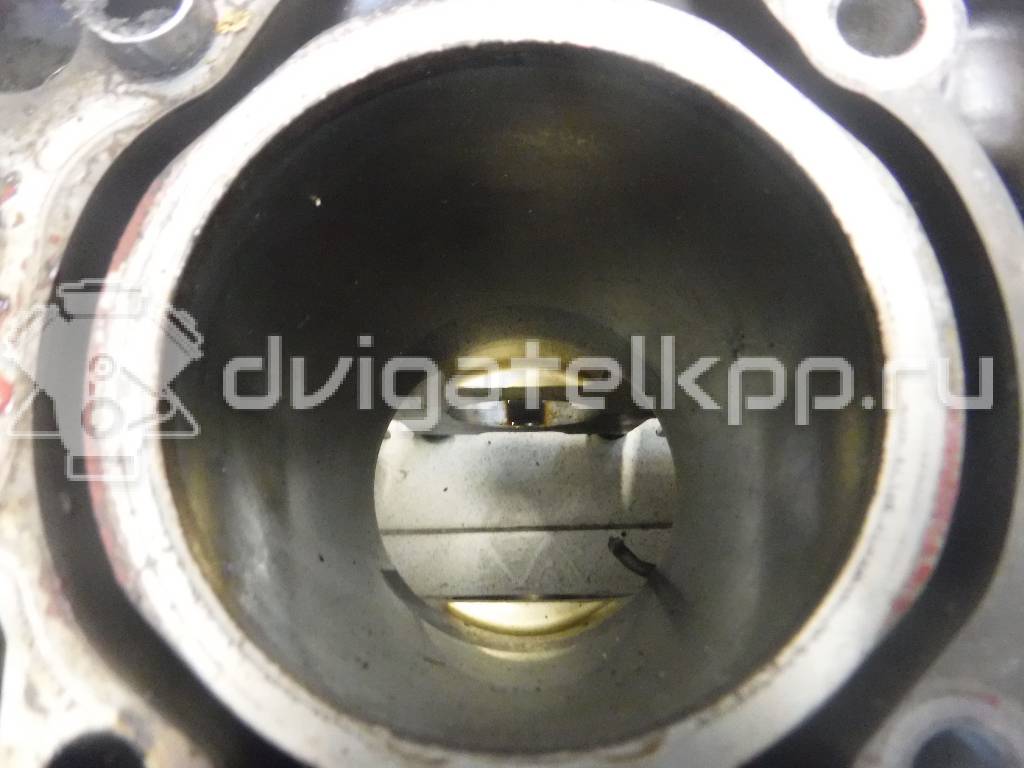 Фото Блок двигателя  для Skoda / Volkswagen / Seat {forloop.counter}}