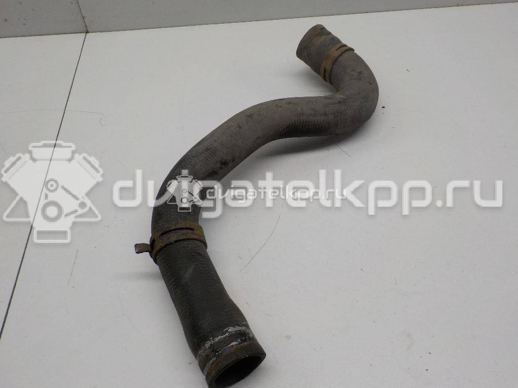 Фото Патрубок радиатора  1351EW для Peugeot 206 {forloop.counter}}