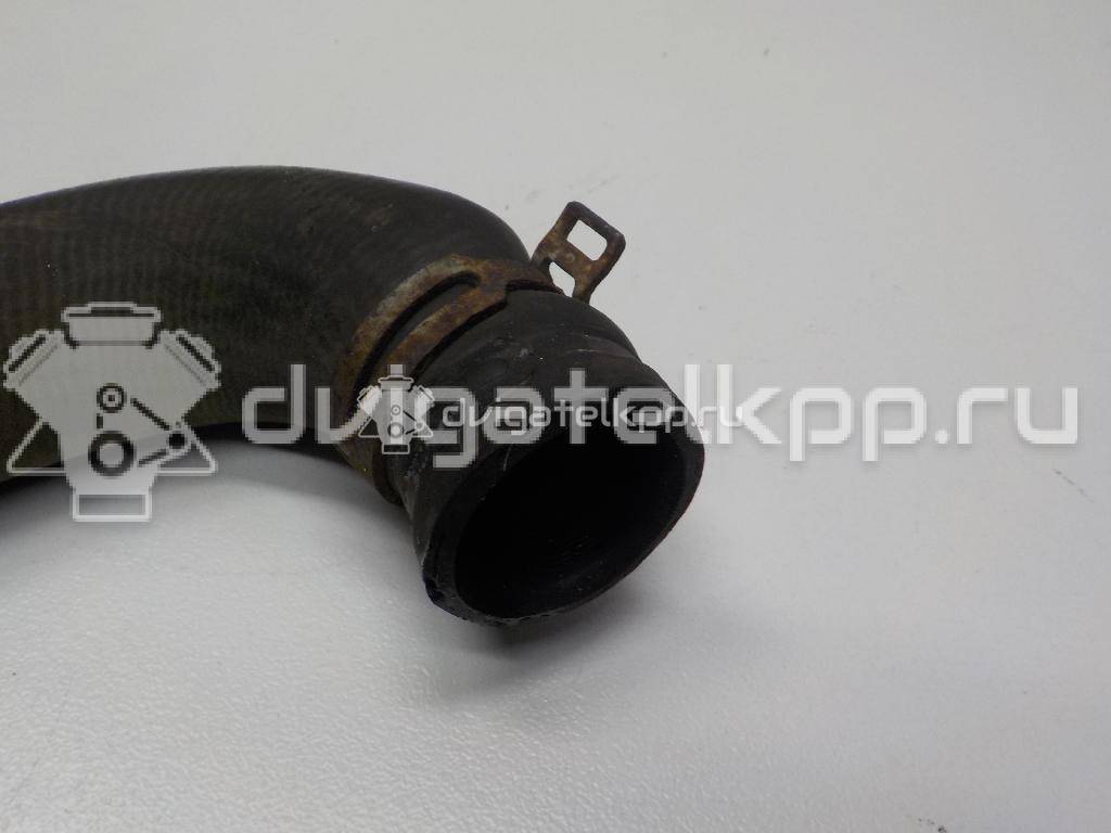 Фото Патрубок радиатора  1343kw для citroen Berlingo (NEW) (B9) {forloop.counter}}