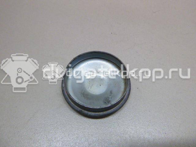 Фото Колпачок ступицы  8200649356 для Renault 11 / Megane / Clio / 19 / Laguna {forloop.counter}}