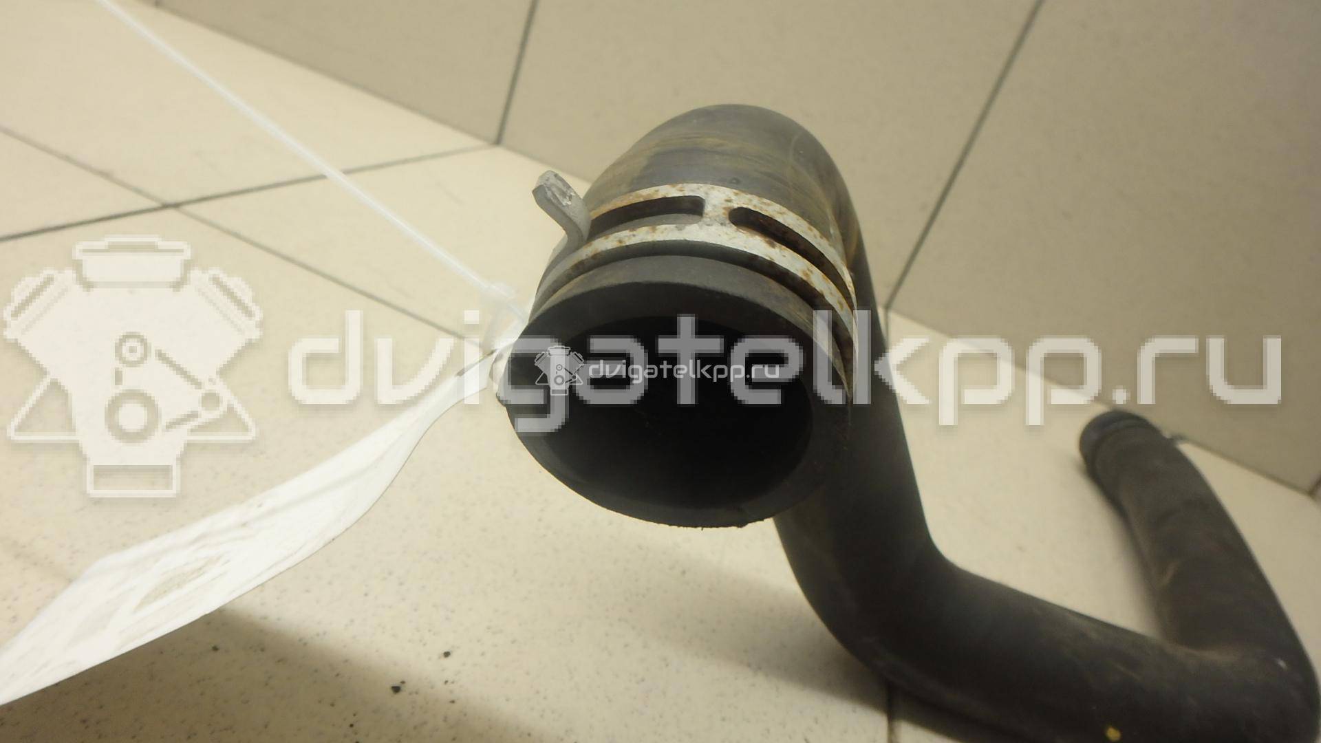 Фото Патрубок радиатора  215010070R для Renault Clio {forloop.counter}}