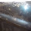 Фото Капот  664003k010 для Hyundai Sonata {forloop.counter}}