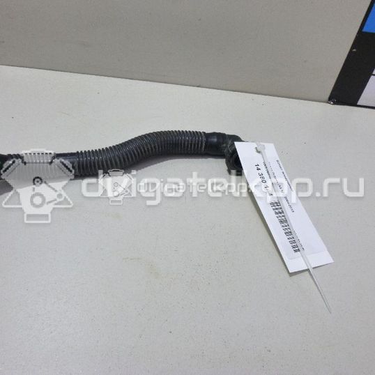 Фото Шланг воздушный  06a131127l для audi A3 (8L1)