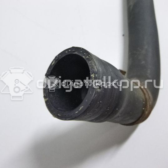 Фото Патрубок радиатора  1J0121049E для Seat Leon / Toledo