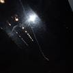 Фото Капот  1797477 для Ford Focus {forloop.counter}}
