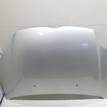 Фото Капот  1797477 для Ford Focus {forloop.counter}}