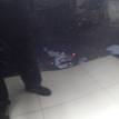 Фото Капот  1521601 для Ford Focus {forloop.counter}}