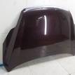 Фото Капот  1521601 для Ford Focus {forloop.counter}}