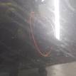 Фото Капот  1521601 для Ford Focus {forloop.counter}}