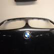 Фото Капот  41617121102 для Bmw X5 {forloop.counter}}