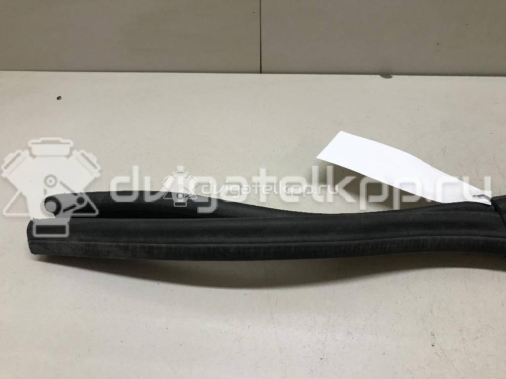 Фото Уплотнитель капота  1Z0823723A для skoda Octavia (A5 1Z-) {forloop.counter}}