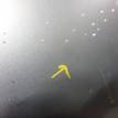 Фото Капот  GJYA5231XB для Mazda 6 {forloop.counter}}