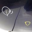 Фото Капот  60100sea000zz для Honda Accord {forloop.counter}}