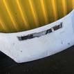 Фото Капот  1535916 для Ford Transit {forloop.counter}}