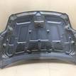 Фото Капот  1521601 для Ford Focus {forloop.counter}}
