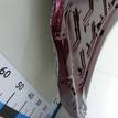Фото Капот  1521601 для Ford Focus {forloop.counter}}