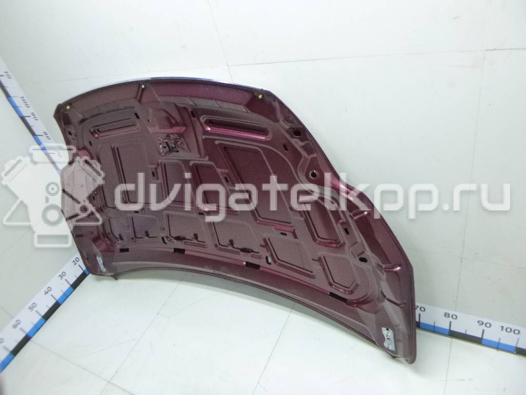 Фото Капот  1521601 для Ford Focus {forloop.counter}}