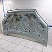 Фото Капот  1252640 для Ford Focus {forloop.counter}}
