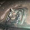 Фото Капот  1252640 для Ford Focus {forloop.counter}}