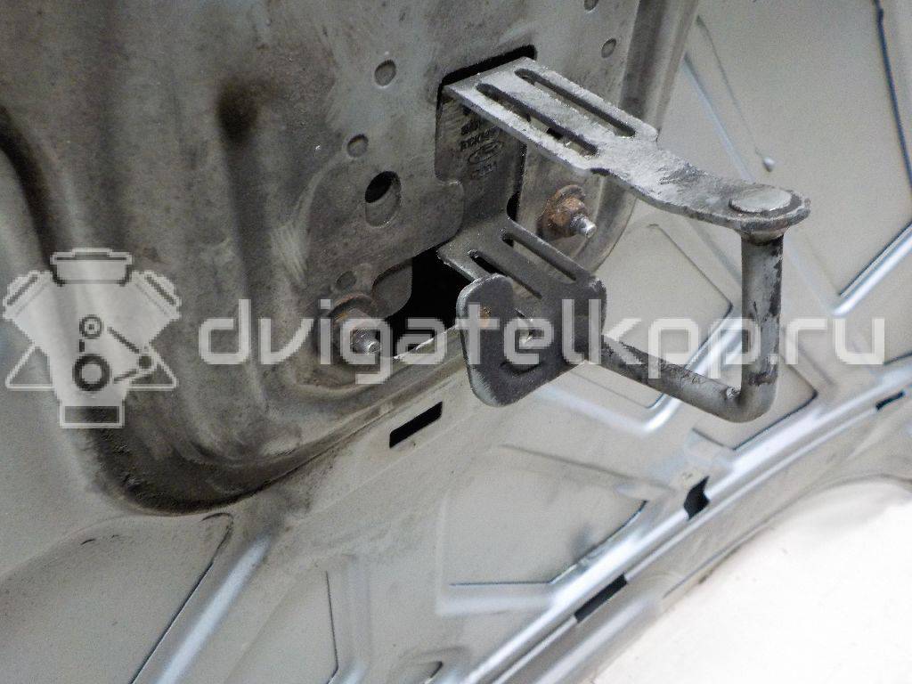 Фото Капот  1252640 для Ford Focus {forloop.counter}}