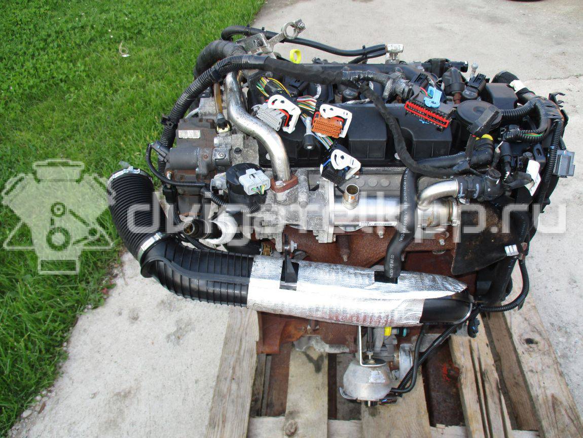 Фото Контрактный (б/у) двигатель D 4204 T для Volvo V50 Mw / C70 / V70 / C30 / S40 136 л.с 16V 2.0 л Дизельное топливо {forloop.counter}}