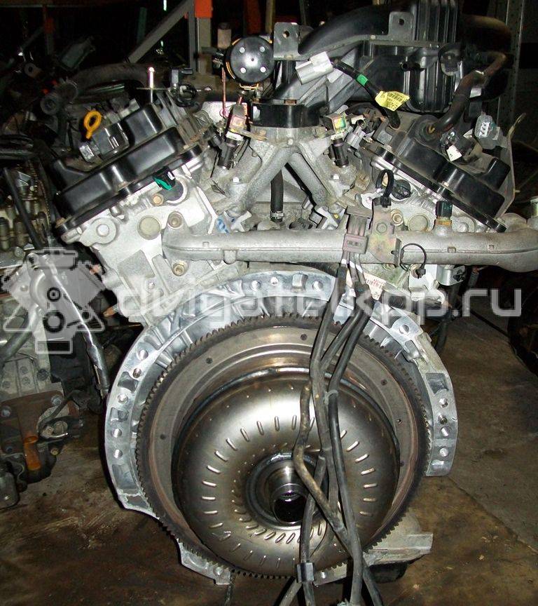 Фото Контрактный (б/у) двигатель VQ40DE для Suzuki / Nissan 264-295 л.с 24V 4.0 л бензин {forloop.counter}}