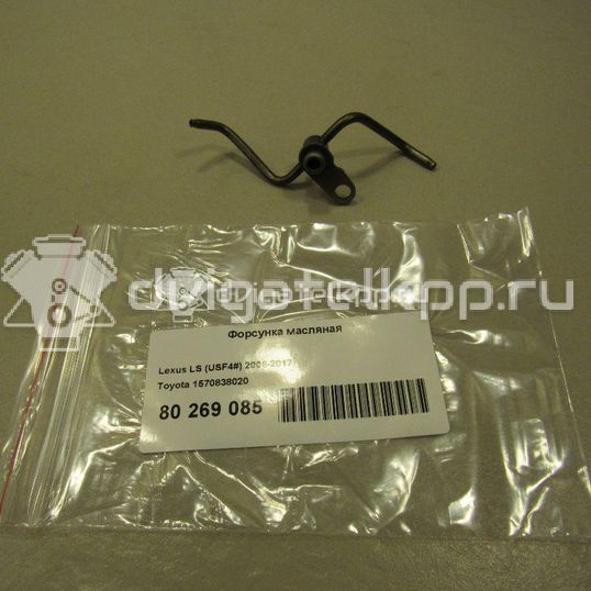Фото Форсунка масляная для двигателя 1UR-FSE для Lexus / Toyota 347-385 л.с 32V 4.6 л бензин 1570838020