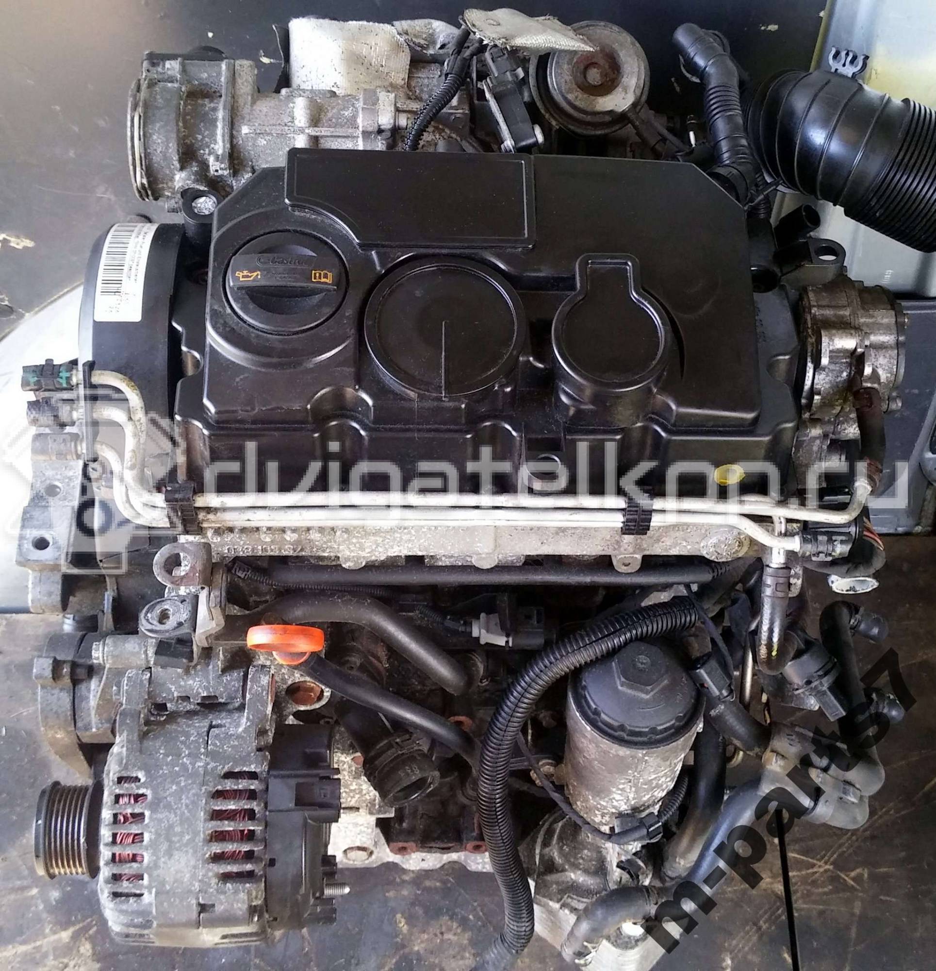 Фото Контрактный (б/у) двигатель BMM для Skoda Octavia / Octaviaii 1Z3 140 л.с 8V 2.0 л Дизельное топливо {forloop.counter}}