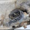 Фото Контрактная (б/у) АКПП для Toyota Dyna / Land Cruiser / Hiace / Hilux / Toyo Ace C Y2 102-204 л.с 16V 3.0 л 1KD-FTV Дизельное топливо 350006a090 {forloop.counter}}