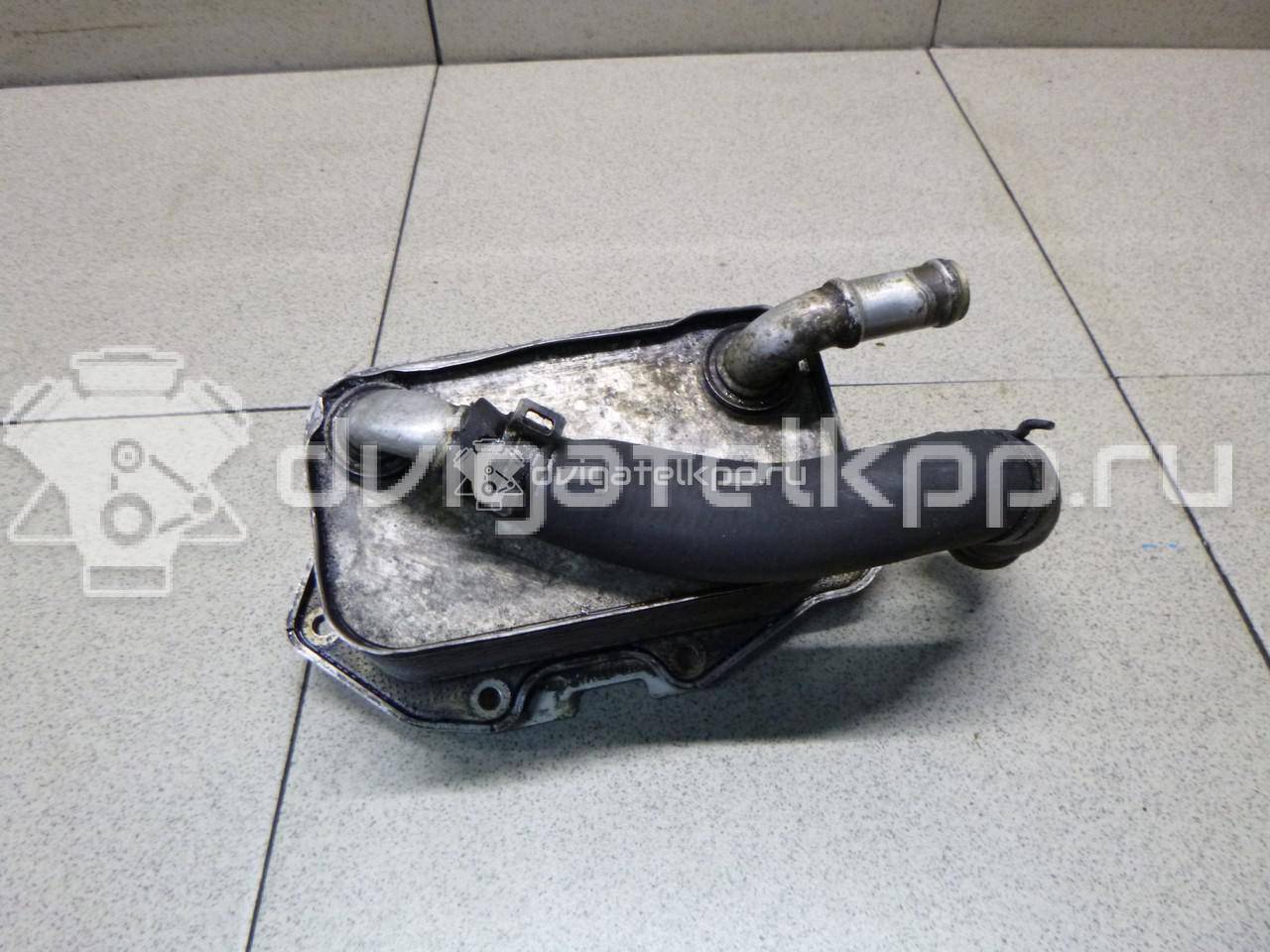 Фото Радиатор масляный  06e117021g для Audi A4 / A6 / A5 / A8 / Q5 {forloop.counter}}