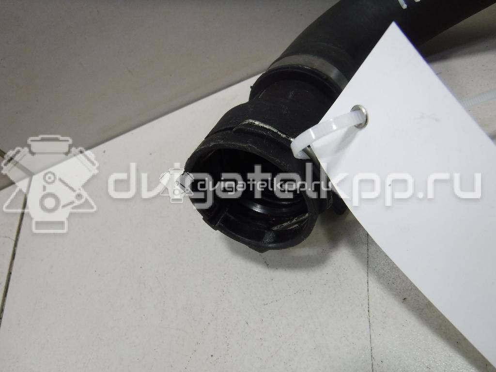 Фото Патрубок радиатора  4F0121055F для Audi A6 {forloop.counter}}