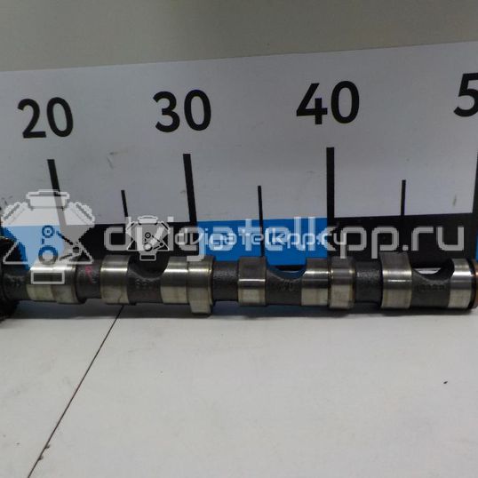 Фото Распредвал выпускной для двигателя AKE для Audi A8 / Allroad / A6 180 л.с 24V 2.5 л Дизельное топливо 059109022BC