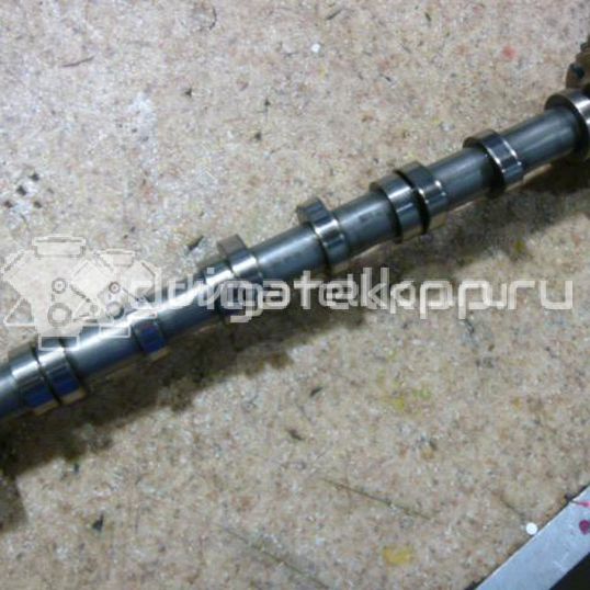 Фото Распредвал впускной для двигателя BMK для Audi A6 225 л.с 24V 3.0 л Дизельное топливо 059109009BK