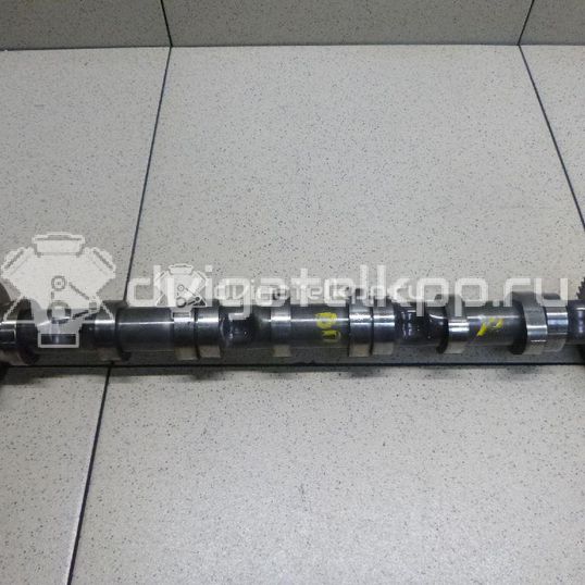 Фото Распредвал впускной для двигателя BUG для Audi Q7 233 л.с 24V 3.0 л Дизельное топливо 059109009BK