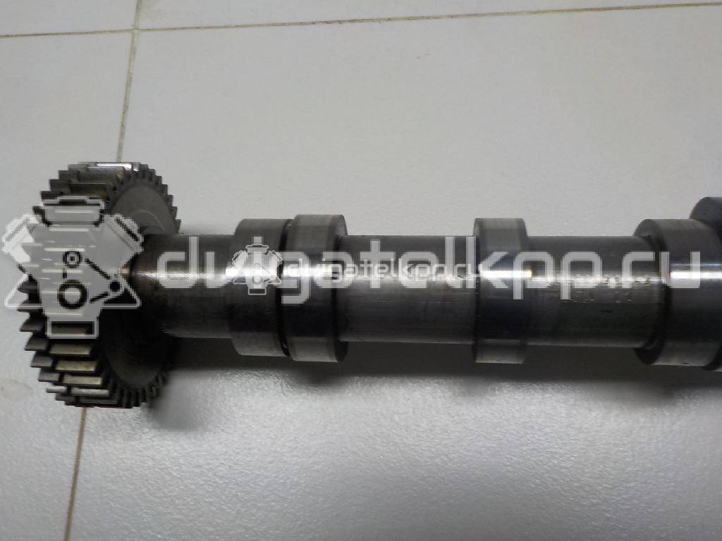 Фото Распредвал впускной для двигателя BUG для Audi Q7 233 л.с 24V 3.0 л Дизельное топливо 059109009BK {forloop.counter}}